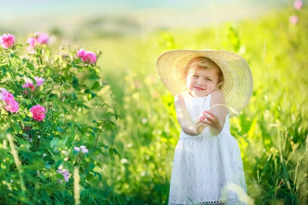 Schattig Klein Meisje Die Zich Voordeed Groene Veld — Stockfoto