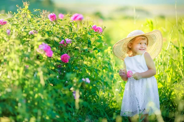 Aranyos Kis Lány Pózol Zöld Mezőn — Stock Fotó