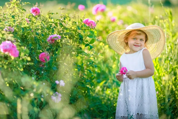 Drăguț Fetiță Care Pozează Câmp Verde — Fotografie, imagine de stoc