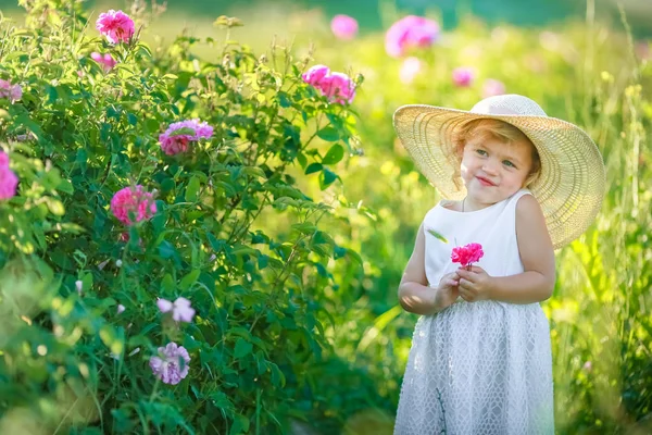 Мила Маленька Дівчинка Позує Зеленому Полі — стокове фото
