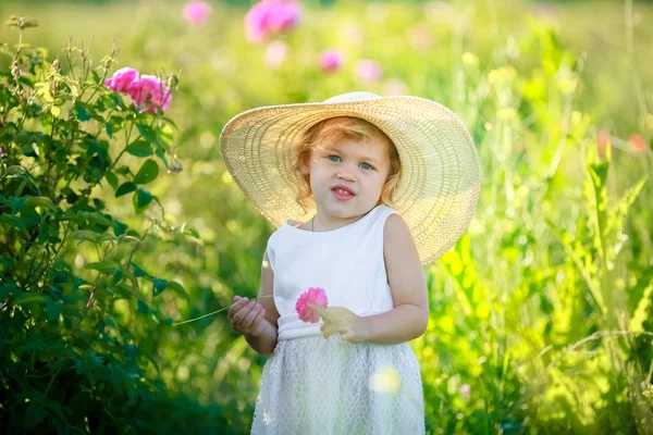 Roztomilá Malá Dívka Pózuje Zelené Louce — Stock fotografie