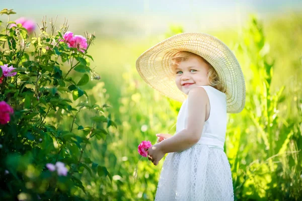 Drăguț Fetiță Care Pozează Câmp Verde Rochie Albă Pălărie — Fotografie, imagine de stoc