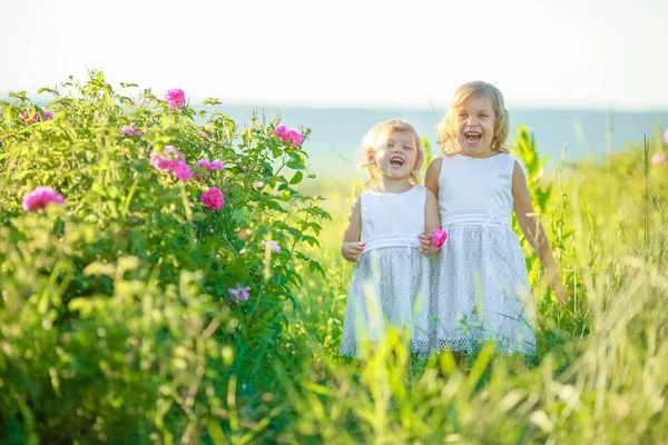 Две Маленькие Девочки Позируют Зеленом Поле — стоковое фото