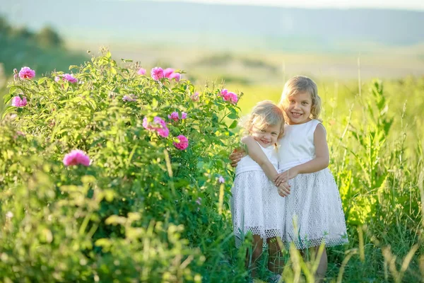 Dwie Małe Dziewczynki Pozowanie Zewnątrz Zielone Pola — Zdjęcie stockowe