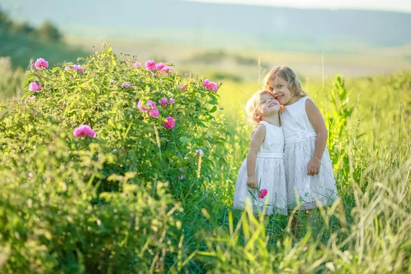 Zwei Kleine Mädchen Posieren Draußen Auf Der Grünen Wiese — Stockfoto