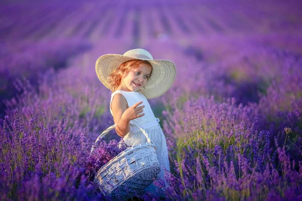 Linda Niña Posando Campo Lavanda —  Fotos de Stock