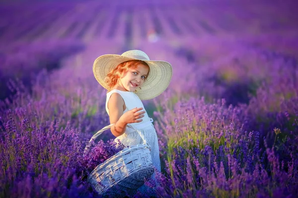 Aranyos Kis Lány Pózol Levendula Mező — Stock Fotó