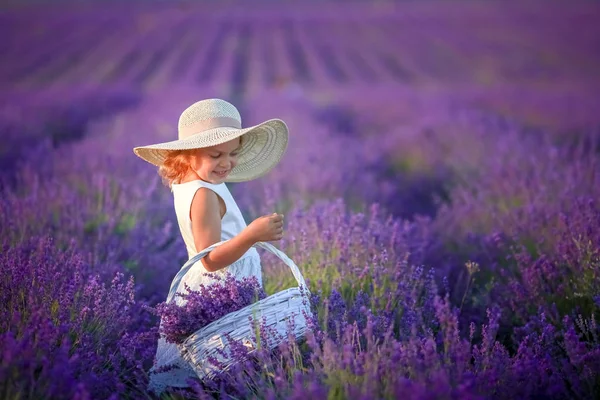 Linda Niña Posando Campo Lavanda —  Fotos de Stock