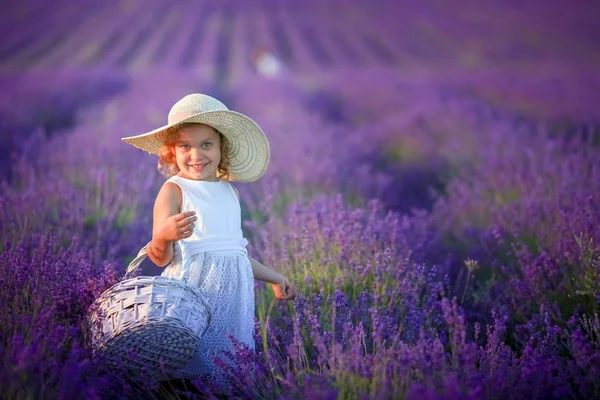 Cute Little Girl Posing Lavender Field — Stock Photo, Image