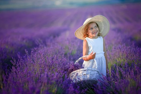 可爱的小女孩摆在薰衣草领域 — 图库照片