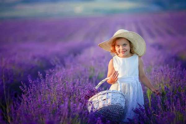 Aranyos Kis Lány Pózol Levendula Mező — Stock Fotó