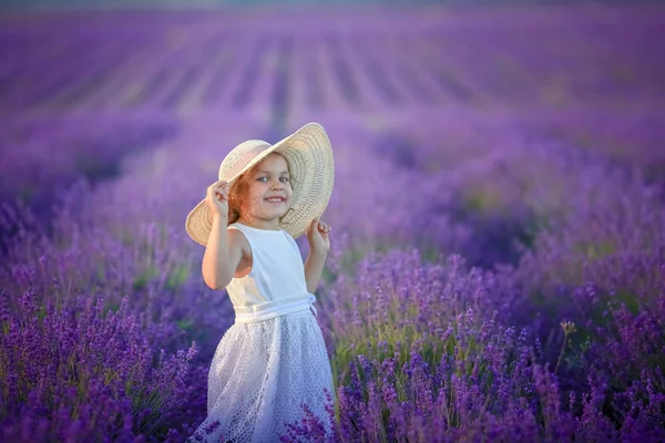 Cute Little Girl Posing Lavender Field — Stock Photo, Image