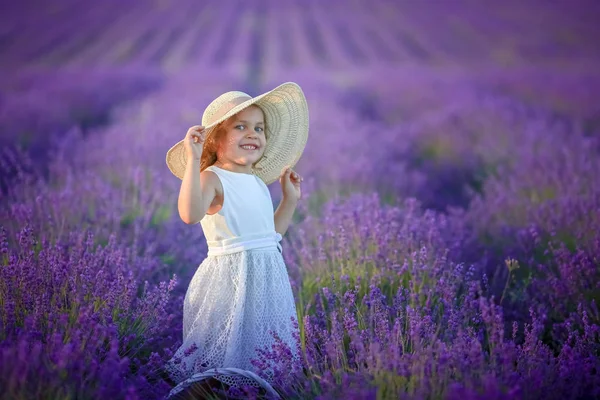 Cute Little Girl Posing Lavender Field — Stock Photo, Image