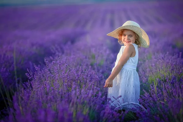 Linda Niña Posando Campo Lavanda —  Fotos de Stock