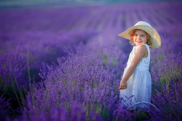 Cute Little Girl Posing Lavender Field — Stock Photo, Image