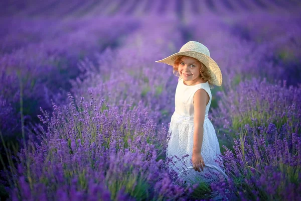 Cute Little Girl Posing Lavender Field — Stock Photo, Image