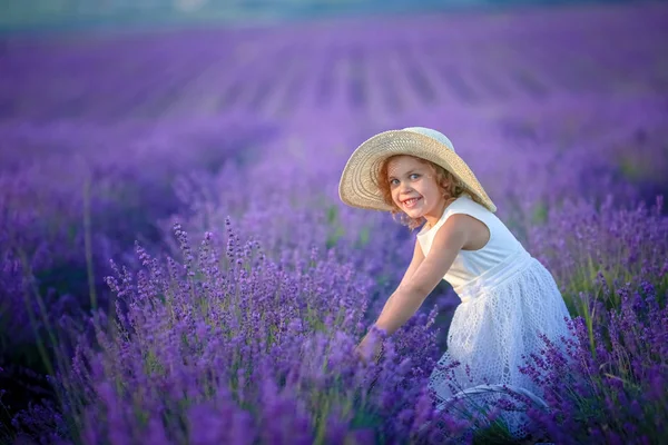 Cute Little Girl Posing Lavender Field — Stock Photo, Image