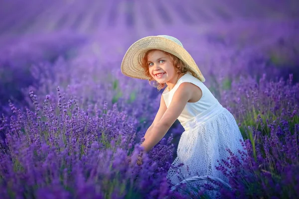 可爱的小女孩摆在薰衣草领域 — 图库照片
