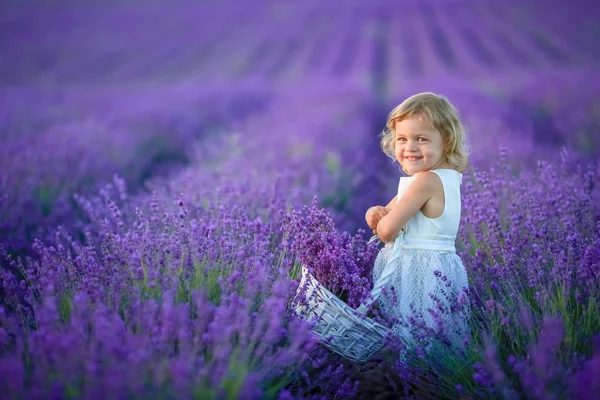 Bela Menina Posando Campo Lavanda Segurando Cesta Cheia Flores — Fotografia de Stock