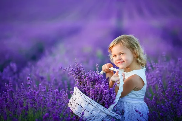 美丽的小女孩摆在薰衣草田野捧满鲜花的篮子 — 图库照片