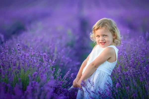 Krásná Malá Dívka Pózuje Levandulové Pole Hospodářství Koš Plný Květin — Stock fotografie
