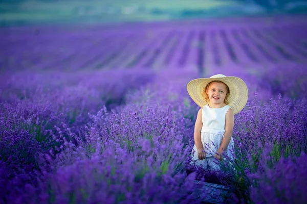 Piękna Mała Dziewczynka Pozowanie Lawenda Pole Gospodarstwa Kosz Pełen Kwiatów — Zdjęcie stockowe