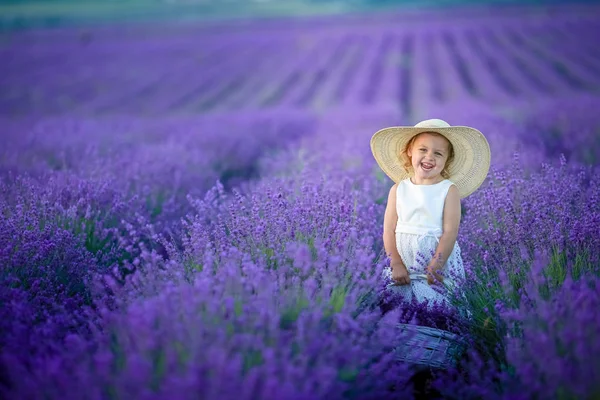Piękna Mała Dziewczynka Pozowanie Lawenda Pole Gospodarstwa Kosz Pełen Kwiatów — Zdjęcie stockowe
