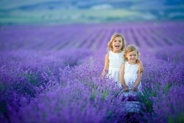 Dos Lindas Niñas Posando Campo Lavanda —  Fotos de Stock