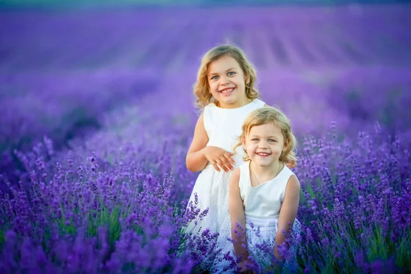 Две Милые Маленькие Девочки Позируют Лавандовом Поле — стоковое фото