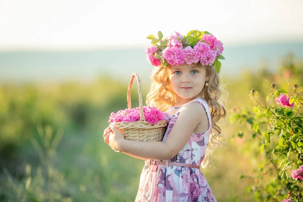 Aranyos Kis Lány Pózol Mezőjének Virág Koszorú — Stock Fotó