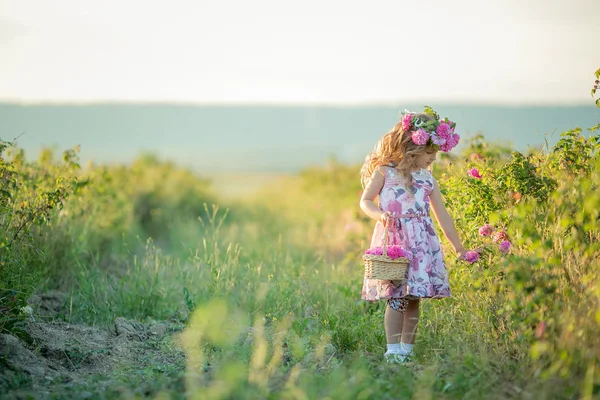 Mignonne Petite Fille Posant Sur Terrain Couronne Fleurs — Photo