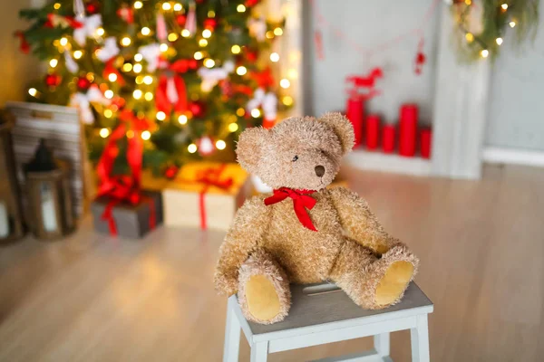 玩具熊在演播室与圣诞节装饰 — 图库照片