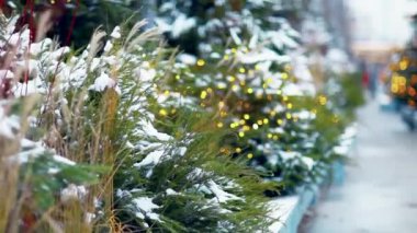 Şehrin Noel süslemesinin manzarası Noel ağaçlarında parlayan ışıklarla