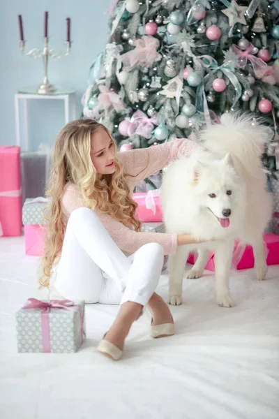 한 소녀는 사진 스튜디오에 있는 크리스마스 트리 밑에 개와 함께 앉아 새해 선물을 받는다. — 스톡 사진
