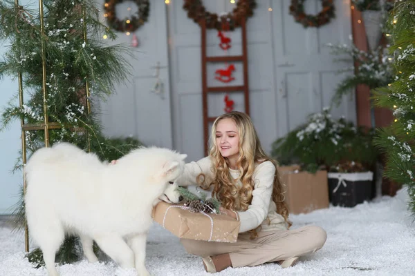 Nyårskonceptet. flicka med sitt husdjur poserar i en fotostudio — Stockfoto