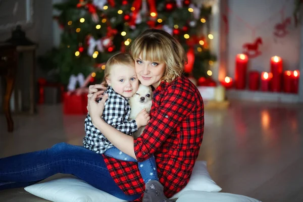一家人都是妈妈，新年前夕，在装饰过的圣诞树旁，他们和一只小宠物坐在地板上 — 图库照片