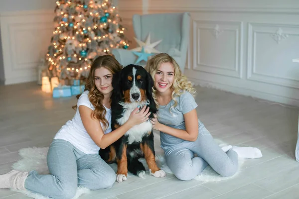Två kvinnor på nyårsafton leker med ett husdjur en stor renrasig hund — Stockfoto