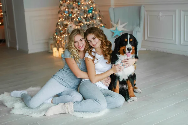 다 자란 두 자매가 크리스마스 트리를 장식 한 배경으로 애완 동물을 껴안고 있다 — 스톡 사진