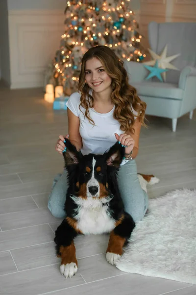 Kvinna med en stor hund i de nya åren kväll på bakgrunden av rummet med en julgran — Stockfoto