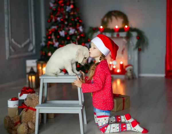 Het meisje kreeg een kerstcadeau in de vorm van een kleine labrador puppy — Stockfoto