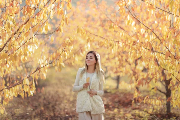 하얀 스웨터를 입고 누런 잎이 달린 가을 나무 뒤에 앉아 있는 여자 — 스톡 사진