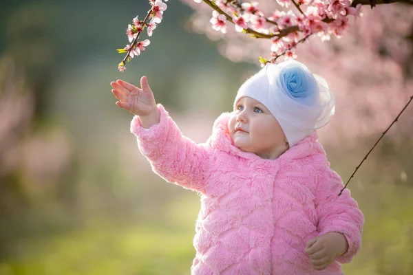 핑크 재킷을 입은 1-2 세 아기가 꽃 이 핀 복숭아 정원에서 초상화를 클로즈업 한 모습 — 스톡 사진