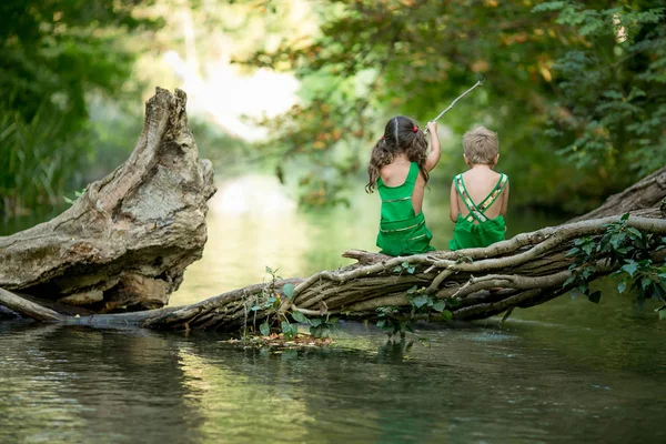 Вид сзади фото двух детей мальчик и девочка на упавшем дереве над рекой — стоковое фото