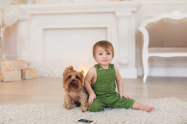 Anak itu duduk di atas karpet di lantai dan di sampingnya mainan anjing Terrier — Stok Foto