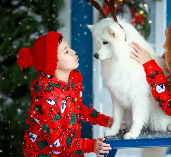 Familj med god julstämning och husdjur i juldräkter — Stockfoto