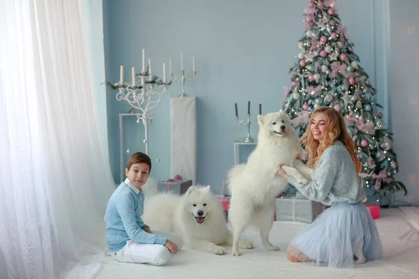 Familj Jul foto av mor och vuxen son med Husdjur renrasiga Samojed — Stockfoto