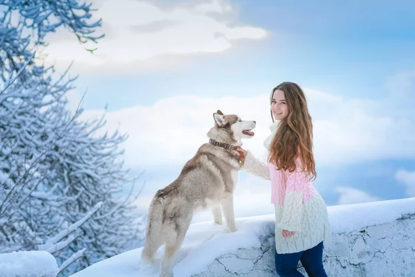 Mladá žena se psem dobývají zasněžené vrcholky — Stock fotografie