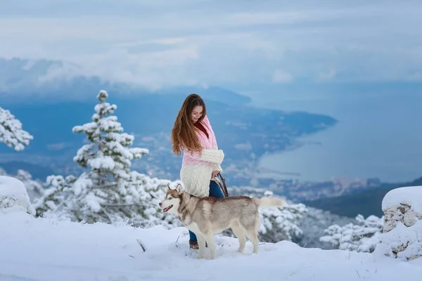 Μια γυναίκα με ένα καθαρόαιμο σκυλί στην κορυφή ενός χιονισμένου βουνού. — Φωτογραφία Αρχείου