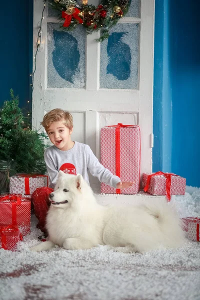 크리스마스 트리와 빨간 상자 뒤에 애 완 개와 함께 겨울 풍경에 있는 아이 — 스톡 사진