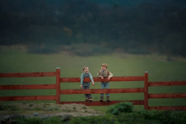 Deux frères du garçon assis sur un ranch sur une clôture en bois contre un champ vert — Photo